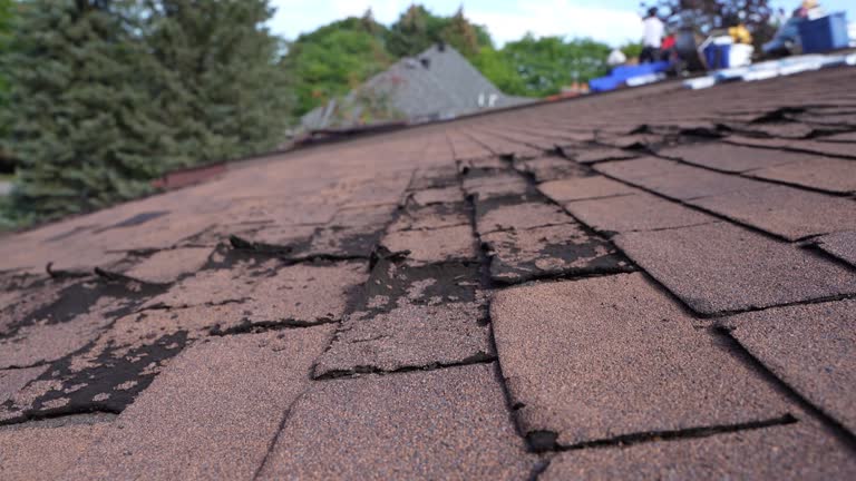 Fast & Reliable Emergency Roof Repairs in Rowland Heights, CA